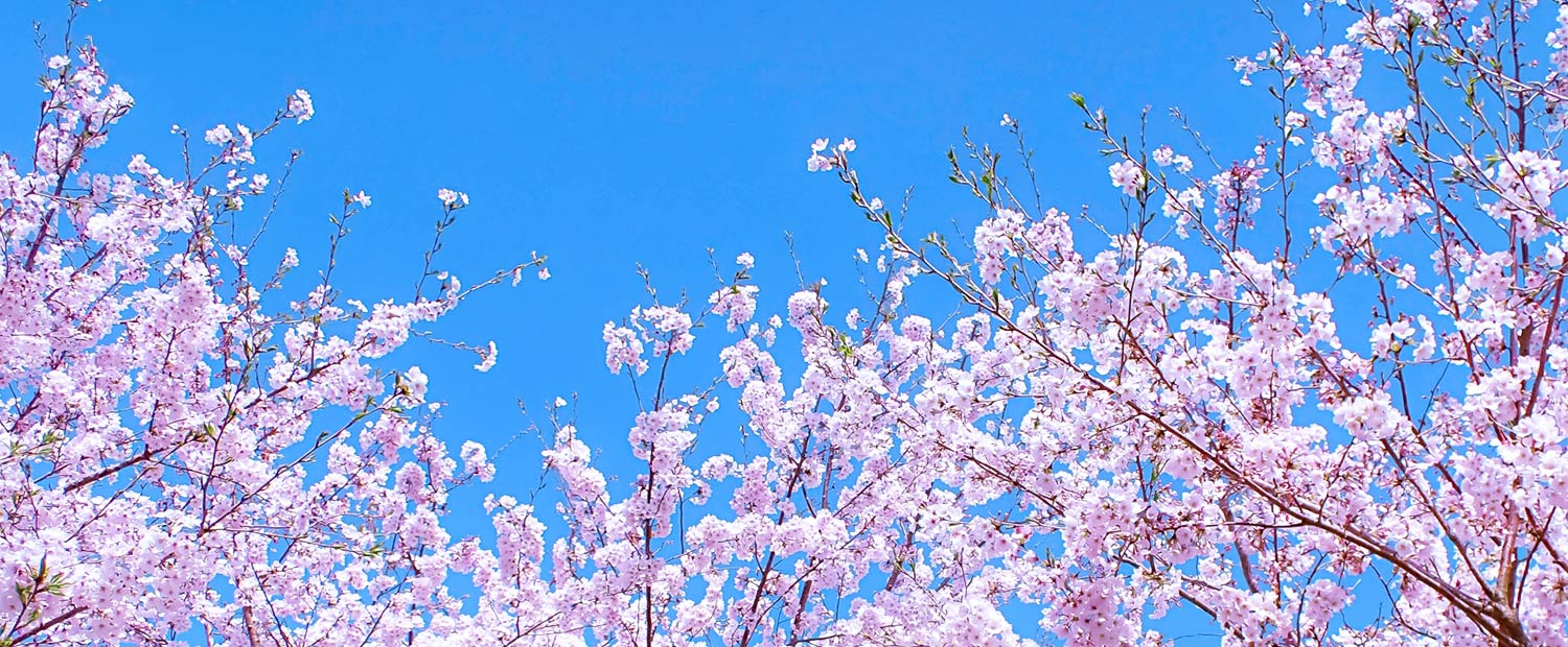 キービジュアルイメージ01